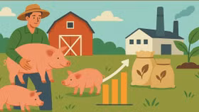 Các "đại gia" ngành chăn nuôi làm ăn ra sao trong quý 3/2025?