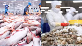 Tôm và cá tra Việt Nam củng cố vị thế trên thị trường quốc tế