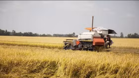 Gió thuế quan thổi ngược Bắc Mỹ: Hàng Việt vào Mỹ thêm rộng cửa