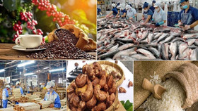 Gỡ nút thắt thuế GTGT, thông dòng chảy ngành nông sản từ năm 2026