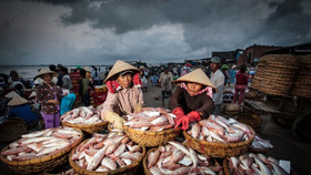 Tăng trưởng trên lằn ranh, ngành thủy sản Việt Nam lộ rõ đường phân hóa