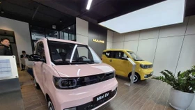 Trong năm 2024, TMT Motors đã bán được 1.358 xe Wuling Mini EV