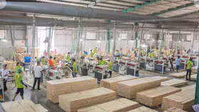 Ngành gỗ Việt tự tin “làm chủ cuộc chơi” khi 4/10 phụ nữ Mỹ nấu ăn sẽ đứng cạnh tủ bếp Made in Vietnam