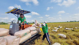 Bài toán 60 ngày "đóng cửa" của Philippines: Việt Nam có cơ hội mở rộng thị trường gạo