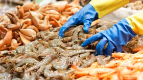 Vượt khó thuế quan, tôm Việt Nam tìm đường "nhảy" vào phân khúc cao cấp tại Mỹ