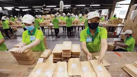 Xuất khẩu gỗ và lâm sản năm 2024 đạt kết quả tốt