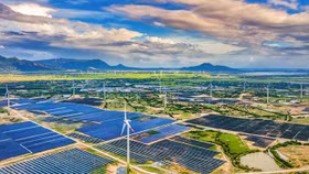 Hai doanh nghiệp ngành năng lượng bị xử phạt hơn 300 triệu đồng do công bố thông tin sai lệch