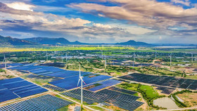 Hai doanh nghiệp ngành năng lượng bị xử phạt hơn 300 triệu đồng do công bố thông tin sai lệch