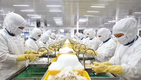 Xuất khẩu thủy sản có nhiều cơ hội tăng tốc khi Mỹ bước vào mùa lễ hội cuối năm