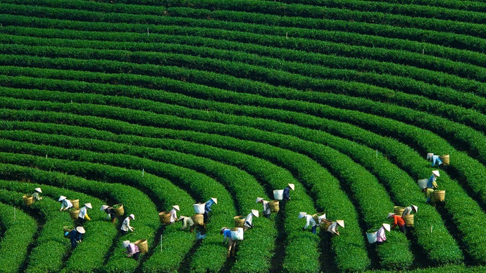 Doanh nghiệp Hàn Quốc quan tâm đến phát triển nông nghiệp xanh tại Việt Nam