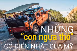 Những “con ngựa thồ” cổ điển nhất của Mỹ
