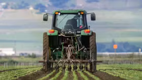 Xung đột Trung Đông và thời tiết cực đoan cùng gây sức ép lên giá lương thực toàn cầu