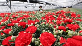 Người Hàn mua quà cũ, bỏ tiệc sang để vượt “bão” kinh tế