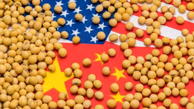 Đậu nành - “gót chân Achilles” của Mỹ trong cuộc chiến thuế quan?