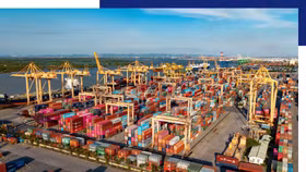 Việt Nam học hỏi được gì từ thành công của các khu thương mại tự do Trung Quốc?