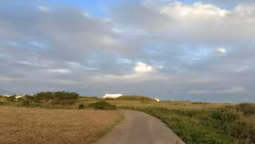 Nhật ký Gapado: Đảo mèo hạnh phúc