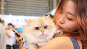 Từ tình yêu thú cưng đến xu hướng tiêu dùng cảm xúc tại Trung Quốc