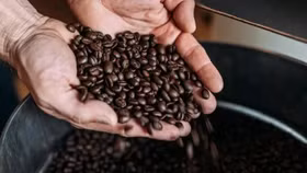 Hợp chất đặc biệt trong cà phê có thể mang lại lợi ích cho người mắc bệnh tiểu đường