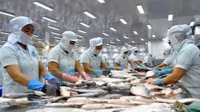 Căng thẳng thuế quan từ Mỹ: Doanh nghiệp FDI và nội địa cùng “ngồi trên lửa”