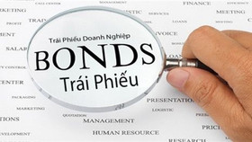 Phát hành trái phiếu riêng lẻ đóng băng trong 2 tháng đầu năm