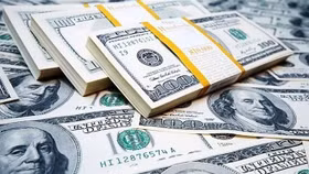 Tỷ giá USD hôm nay ngày 2/4: Thị trường tự do đảo chiều giảm sâu