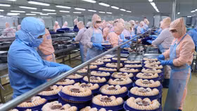 Thuế đối ứng Mỹ bào mòn lợi nhuận, doanh nghiệp xuất khẩu xoay xở ra sao?