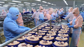 Thuế đối ứng Mỹ bào mòn lợi nhuận, doanh nghiệp xuất khẩu xoay xở ra sao?