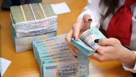 Người mừng kẻ tiếc trong mùa cổ tức ngân hàng