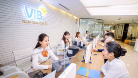Ngân hàng VIB không điều chỉnh lãi suất huy động tháng 6/2025