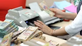 Làn sóng phát mại tài sản lan rộng, áp lực nợ xấu dồn về ngân hàng