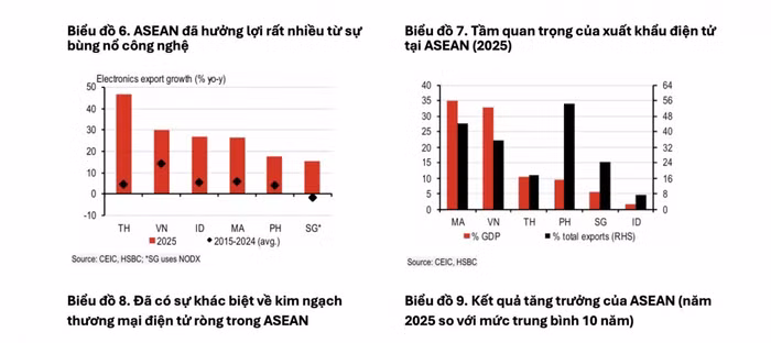 Điều gì đang giúp ASEAN giữ vững dòng chảy thương mại? ảnh 2