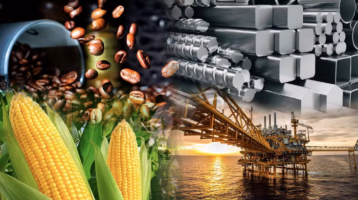 Hàng Việt rộng cửa vào thị trường Trung Đông