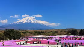 Khám phá sự lôi cuốn của đất nước “mặt trời mọc” trong tour Nhật Bản 5N5Đ