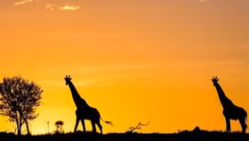 Những nơi đón hoàng hôn đẹp nhất trên thế giới