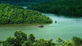 Khu Dự trữ sinh quyển rừng ngập mặn Cần Giờ - “Lá phổi xanh” của TP.HCM