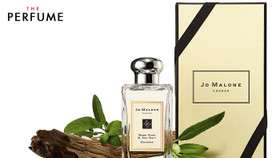 Những dòng nước hoa Jo Malone London được các sao nữ yêu thích