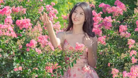 Mê mẩn đường hoa tường vi, đẹp tựa vườn thượng uyển ở trời Âu