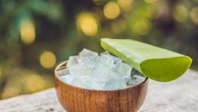 Lô hội - Phương pháp chữa cháy nắng vô cùng nhanh chóng và hiệu quả