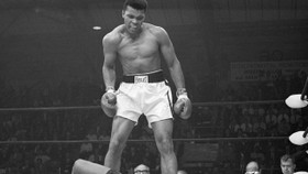 Các bức tranh do Muhammad Ali vẽ được bán với giá hơn 21 tỷ VNĐ