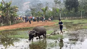 Sôi nổi lễ hội Lồng tồng ở Tân Hợp