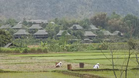 Đến Mai Châu hòa mình vào thiên nhiên núi rừng tĩnh lặng