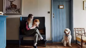 Khách sạn sang trọng dành cho chó cưng ở Anh