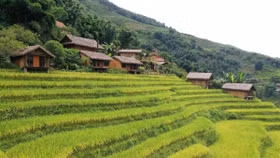 Những khu nghỉ dưỡng mang hơi thở của vùng cao