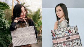 Có nên đầu tư cho chiếc túi xách Dior Book Tote đắt đỏ?