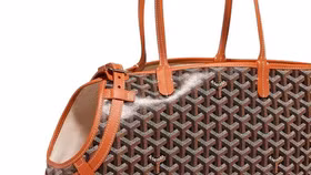 Chiếc túi Goyard biểu tượng nay đã có phiên bản dành riêng cho … thú cưng