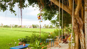 2 tiệm cafe view đồng lúa bình yên ở Hội An nhất định phải ghé