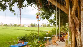 2 tiệm cafe view đồng lúa bình yên ở Hội An nhất định phải ghé
