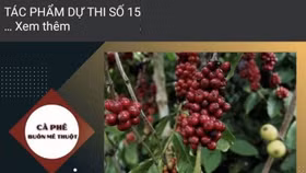 Đắk Lắk: Cuộc thi video clip giới thiệu về Cà phê Buôn Ma Thuột sẽ có 06 giải thưởng