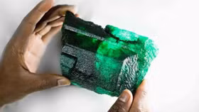 Phát hiện viên ngọc lục bảo khổng lồ trị giá 2,5 triệu đô la