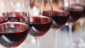 Nghệ thuật thưởng thức rượu vang và rượu nho